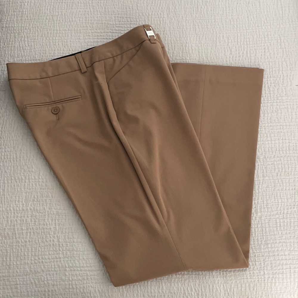 Express Dress Pants